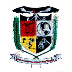 StitchZone - Lambda Alpha Upsilon Crest